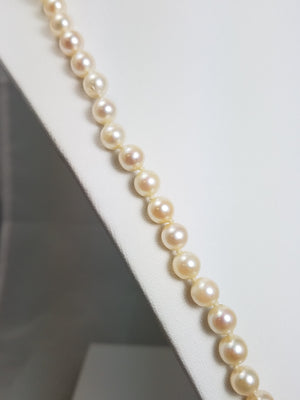 Timeless 25" 14k Yellow Gold Natural Cultured Saltwater Pearl Strand