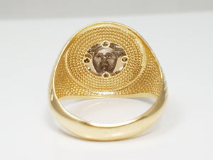 Eye Catching 14k Two Tone Gold Medusa Emblem Ring