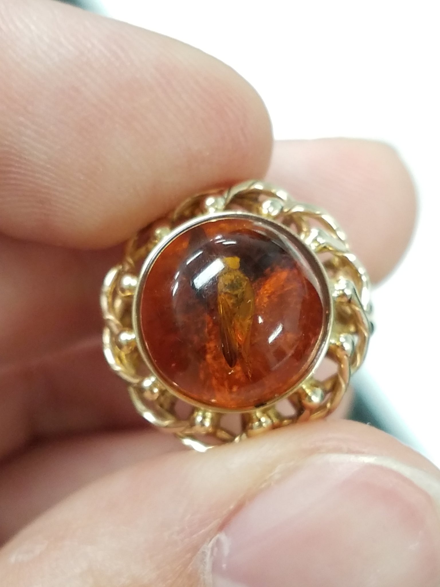 14k Yellow Gold Natural Amber Insect Ring