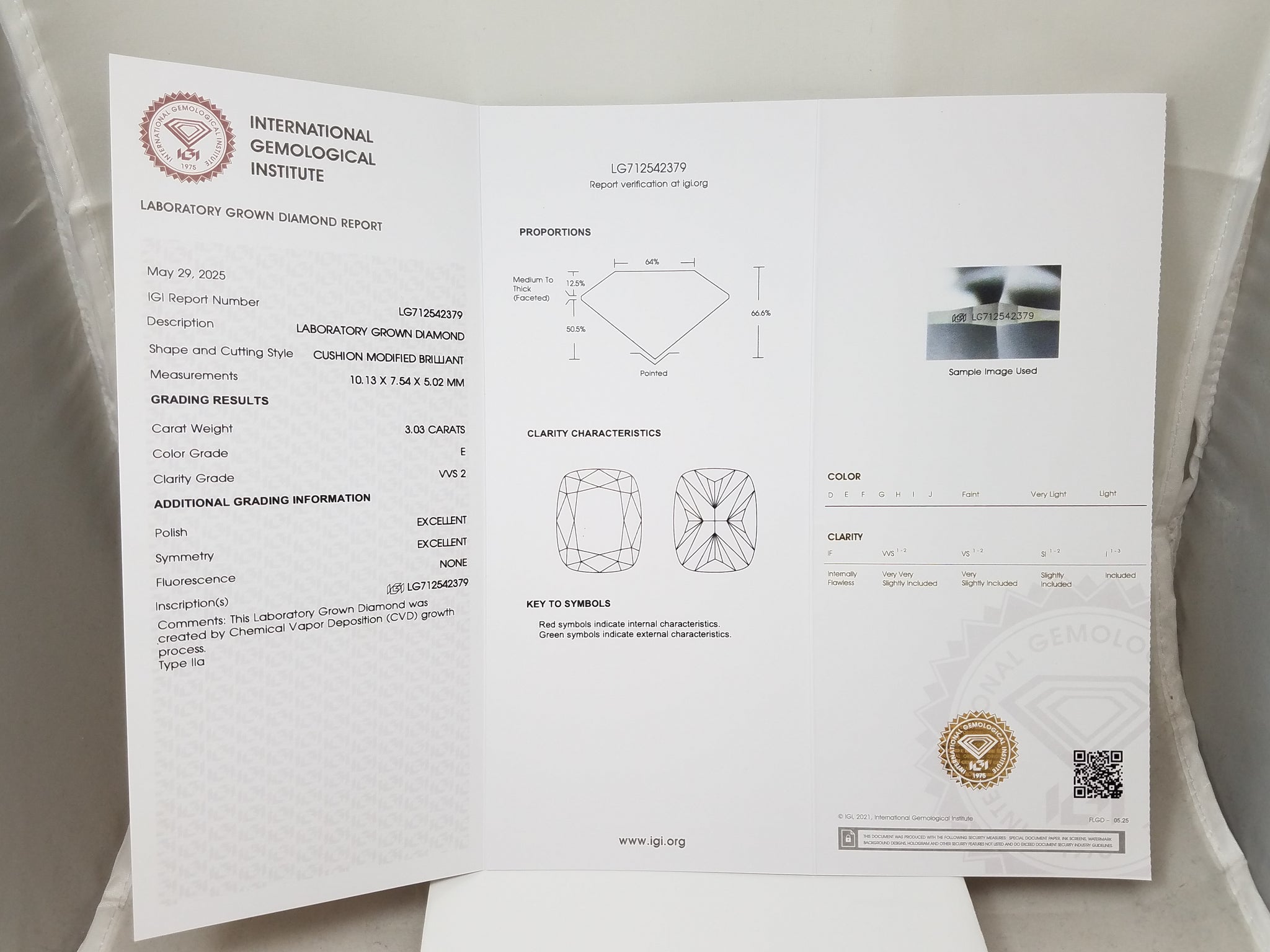 NEW IGI Certified 3.03ct Cushion Modified Brilliant Lab Grown Diamond VVS2 E